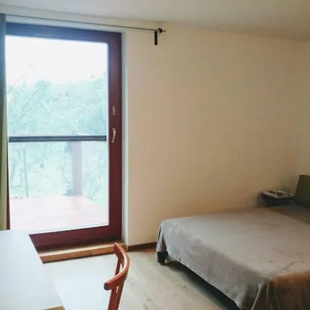 Apartment Jana Pri Gejziri
